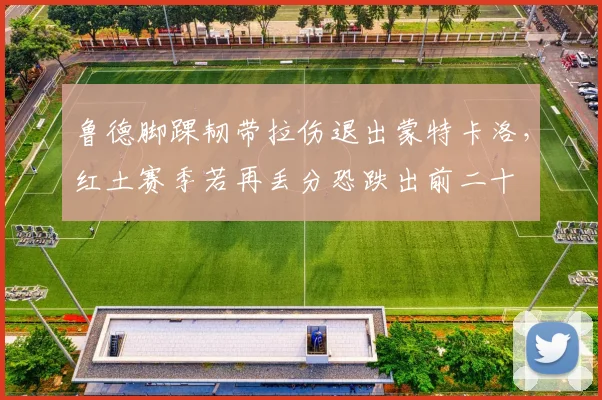 鲁德脚踝韧带拉伤退出蒙特卡洛，红土赛季若再丢分恐跌出前二十
